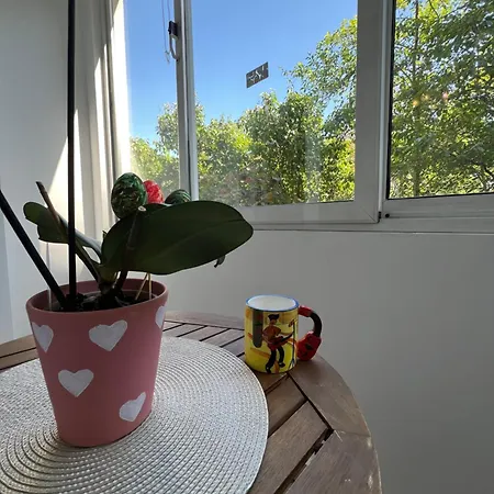 Apartman Giza Cozy 1bdr W Wifi Near Arena 8888 And Sofiamed *