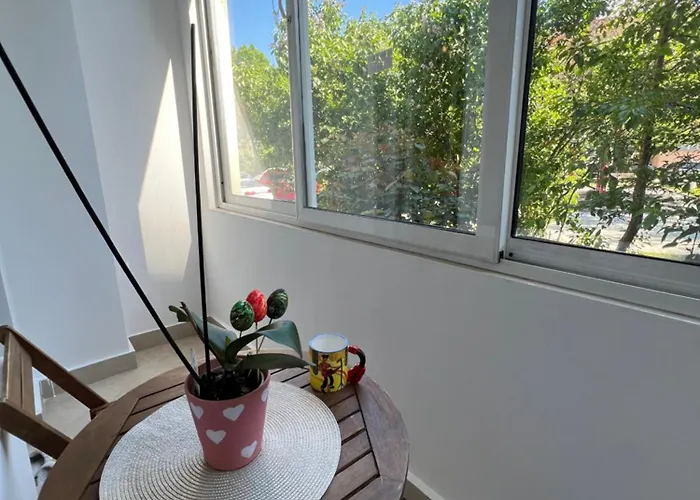 Apartamento Giza Cozy 1bdr W Wifi Near Arena 8888 And Sofiamed *